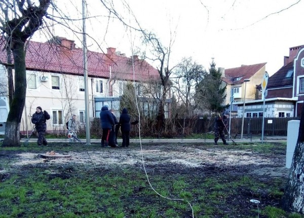 Администрация Зеленоградска вырубила сквер пограничников и 6 деревьев на променаде