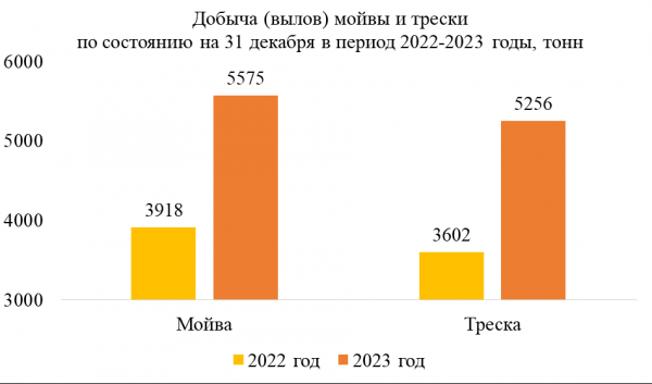 Калининградские рыбопромысловые компании выловили в Мировом океане на 4 % больше, чем годом ранее