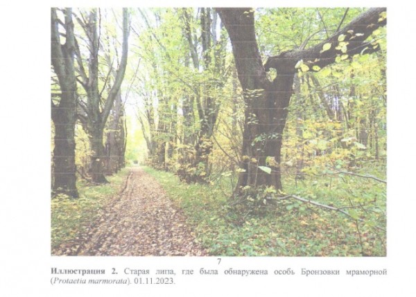 &laquo;Глэмпинг угрожает Варникену&raquo;