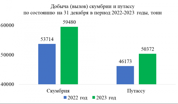 Калининградские рыбопромысловые компании выловили в Мировом океане на 4 % больше, чем годом ранее