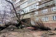 В Калининграде начинают ремонтировать советские многоэтажки рядом с набережной Трибуца (фото)
В Калининграде начинают ремонтировать советские многоэтажки рядом с набережной Трибуца (фото)