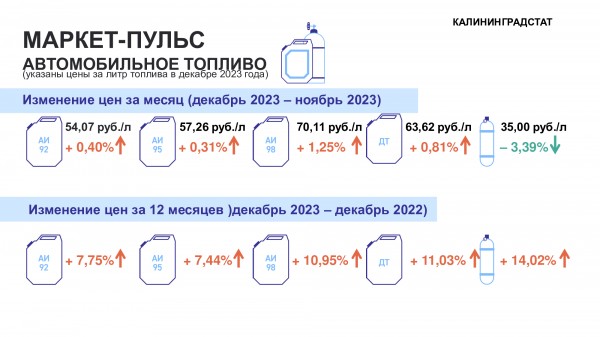 Калининградстат: Годовой рост бензина и дизельного топлива составил 7–14 % Калининградстат: Годовой рост бензина и дизельного топлива составил 7–14 %
