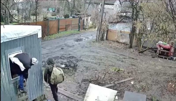 В Калининграде схватили ограбившего беззащитных собак В Калининграде схватили ограбившего беззащитных собак