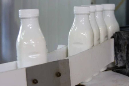 За год Роспотребнадзор изъял из оборота 231 кг молочной продукции