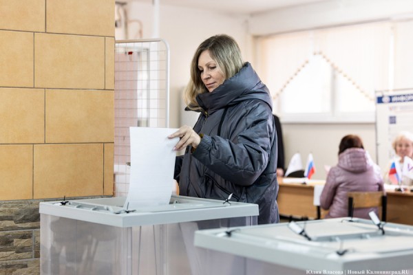 Один на ринге: как проходило голосование в Калининградской области (фото)