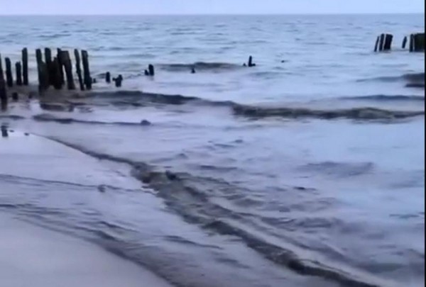 Море у будущего курорта Калининградской области стало чёрным Море у будущего курорта Калининградской области стало чёрным