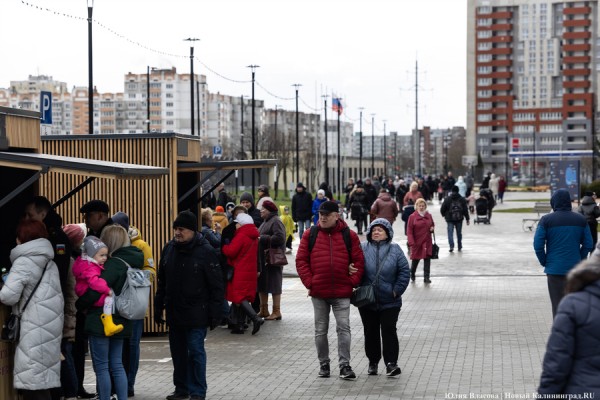 Один на ринге: как проходило голосование в Калининградской области (фото)