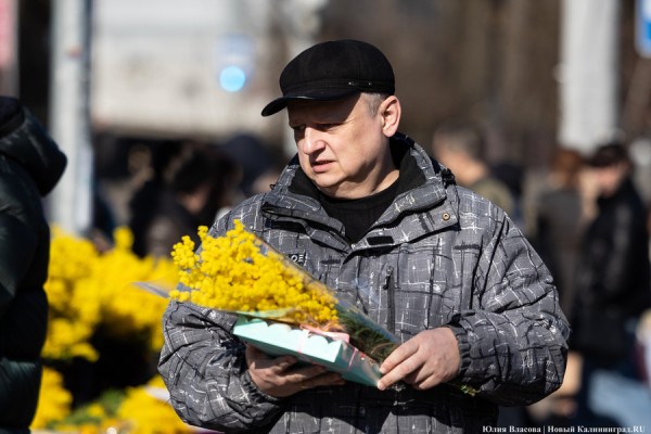 Цветочные баррикады: как выглядят улицы Калининграда 8 марта (фото) Цветочные баррикады: как выглядят улицы Калининграда 8 марта (фото)