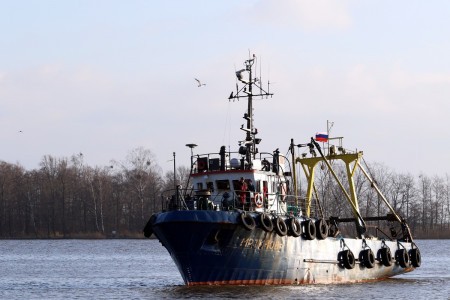 &laquo;Морская звезда&raquo; семь раз нарушила принцип прослеживаемости товара