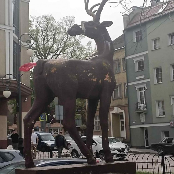 Туристы опять оторвали нос оленю в Черняховске Туристы опять оторвали нос оленю в Черняховске