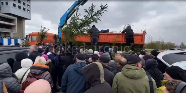 В Калининграде устроили давку за халявными ёлками В Калининграде устроили давку за халявными ёлками