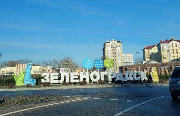В Зеленоградске тайно лишили наследников овчарку из Калининграда В Зеленоградске тайно лишили наследников овчарку из Калининграда