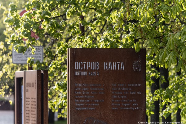 Город Канта: фоторепортаж к 300-летию ученого