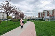 «Яркий акцент»: возле дворца спорта «Янтарный» в Калининграде зацвела аллея сакур (фото)
«Яркий акцент»: возле дворца спорта «Янтарный» в Калининграде зацвела аллея сакур (фото)