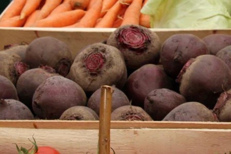 Калининградстат: За год свекла подорожала на 98,3 % Калининградстат: За год свекла подорожала на 98,3 %