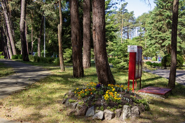 Как выглядит «Юность»: детские загородные центры готовятся к старту сезона (фото) Как выглядит «Юность»: детские загородные центры готовятся к старту сезона (фото)