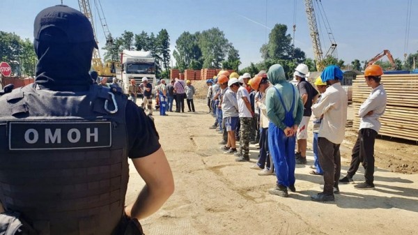Три человека поставили незаконную миграцию в Калининграде на поток