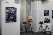
						&laquo;Фотозоны, выставки и эксклюзив&raquo;: как прошла Музейная ночь в Калининграде (фото)											