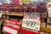 «Клубничный сезон»: сколько стоит местная и привозная ягода в Калининграде (фото)
«Клубничный сезон»: сколько стоит местная и привозная ягода в Калининграде (фото)