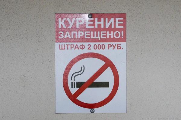 СМИ: Правительство РФ начинает радикальную борьбу с вейпами