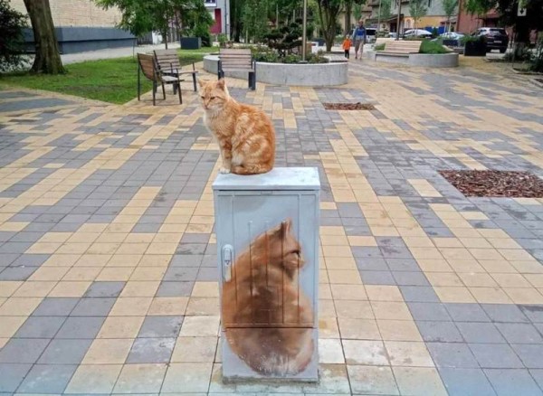 Известного кота в Зеленоградске увековечили на электрошкафу Известного кота в Зеленоградске увековечили на электрошкафу