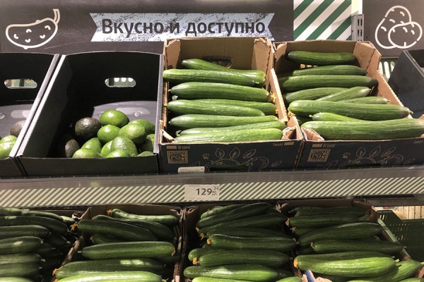 Огуречная амнистия: как изменились цены на продукты за месяц в Калининграде Огуречная амнистия: как изменились цены на продукты за месяц в Калининграде