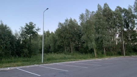 Стилист вырубит 96 деревьев под 5-этажный апарт-отель у моря Стилист вырубит 96 деревьев под 5-этажный апарт-отель у моря