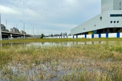«Город под водой»: как устраняли последствия потопа в Калининграде (фото) Избранное
«Город под водой»: как устраняли последствия потопа в Калининграде (фото) Избранное