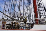 «Снова вместе»: в Калининграде открыли для посетителей барки «Крузенштерн» и «Седов» (фото)
«Снова вместе»: в Калининграде открыли для посетителей барки «Крузенштерн» и «Седов» (фото)