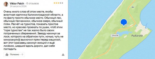 &laquo;Лося чуть не минусанули&raquo;: турист шокировал отзывом о Куршской косе