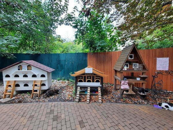 Самый симпатичный российский курорт. Самый симпатичный российский курорт.