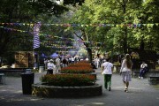 «Лисьи ушки, шаньга с икрой и арбузы на сене»: чем удивляют на городском пикнике в Королевском парке (фото) Избранное
«Лисьи ушки, шаньга с икрой и арбузы на сене»: чем удивляют на городском пикнике в Королевском парке (фото) Избранное