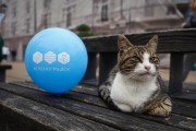 «Непогода и котики»: как отмечали День города в Зеленоградске (фото) Избранное
«Непогода и котики»: как отмечали День города в Зеленоградске (фото) Избранное