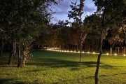 
						На дорожках в историческом парке в Сосновке установят 1750 светильников  (фото)											
