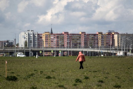 Структура &laquo;Реновы&raquo; забрала еще 0,56 га на Острове за 207 млн руб.