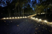 
						На дорожках в историческом парке в Сосновке установят 1750 светильников  (фото)											