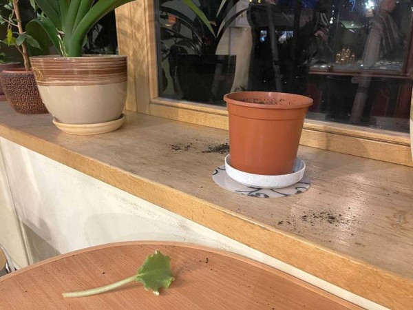 В Калининграде из Музея янтаря украли не янтарь В Калининграде из Музея янтаря украли не янтарь