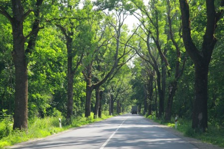 «ДСП» депутата горсовета «скинула» 113 млн руб. на ремонте 21 км региональной дороги «ДСП» депутата горсовета «скинула» 113 млн руб. на ремонте 21 км региональной дороги