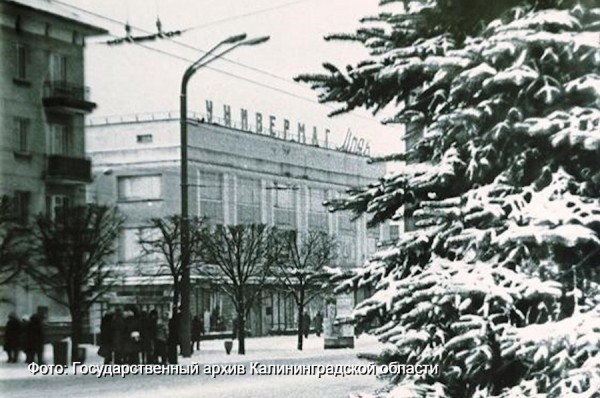 Манифестанты из&nbsp;&laquo;Маяка&raquo;, трамвай и&nbsp;&laquo;Мерседесы&raquo;: о&nbsp;чём писали газеты в&nbsp;1989 году