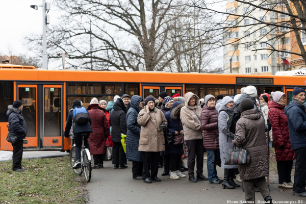 Блок на льготу: как калининградских пенсионеров поставили в очередь за карточками (фото) Блок на льготу: как калининградских пенсионеров поставили в очередь за карточками (фото)