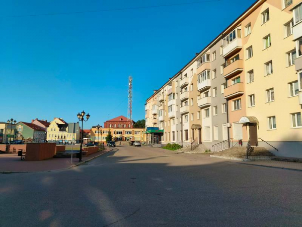 На Черняховск начали падать стаи мёртвых птиц