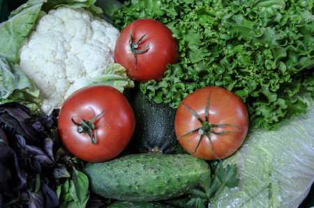 За месяц в регион ввезли более 140 тыс. тонн растительной продукции За месяц в регион ввезли более 140 тыс. тонн растительной продукции