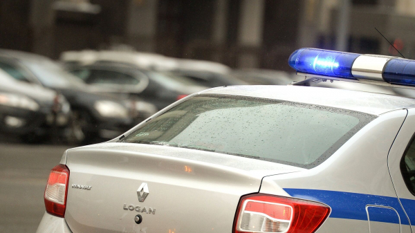 В Калининградской области женщина заморила голодом собаку, полиция завела дело В Калининградской области женщина заморила голодом собаку, полиция завела дело