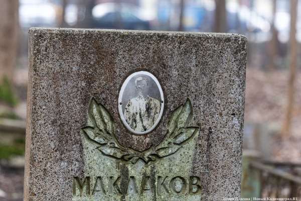 Под натиском застройки: как борются за кладбище первых калининградцев (фото) Под натиском застройки: как борются за кладбище первых калининградцев (фото)