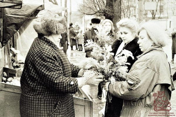 Столовые для бедных, лебедь и «Всё о сексе»: о чём писали газеты 35 лет назад Столовые для бедных, лебедь и «Всё о сексе»: о чём писали газеты 35 лет назад