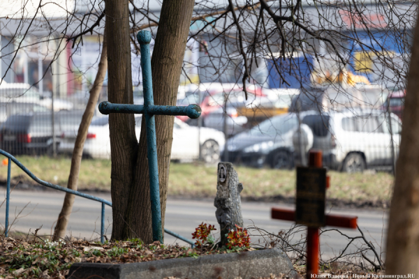 Под натиском застройки: как борются за кладбище первых калининградцев (фото) Под натиском застройки: как борются за кладбище первых калининградцев (фото)