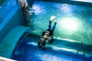 «Космический праздник»: как в Калининграде отметили 35-летие Музея Мирового океана (фото)
«Космический праздник»: как в Калининграде отметили 35-летие Музея Мирового океана (фото)