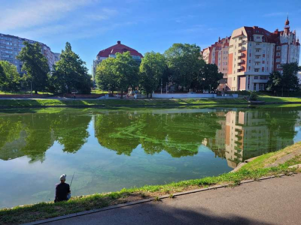 В Калининграде Нижний пруд частично вышел из берегов
