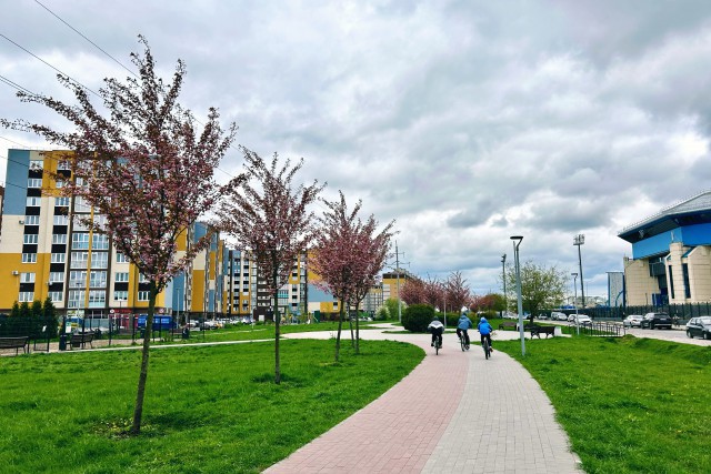 В выходные в Калининградской области ожидается небольшое похолодание и дождь
В выходные в Калининградской области ожидается небольшое похолодание и дождь