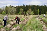 На территории Калининградской области высадили более 58 тысяч елей (фото)
На территории Калининградской области высадили более 58 тысяч елей (фото)